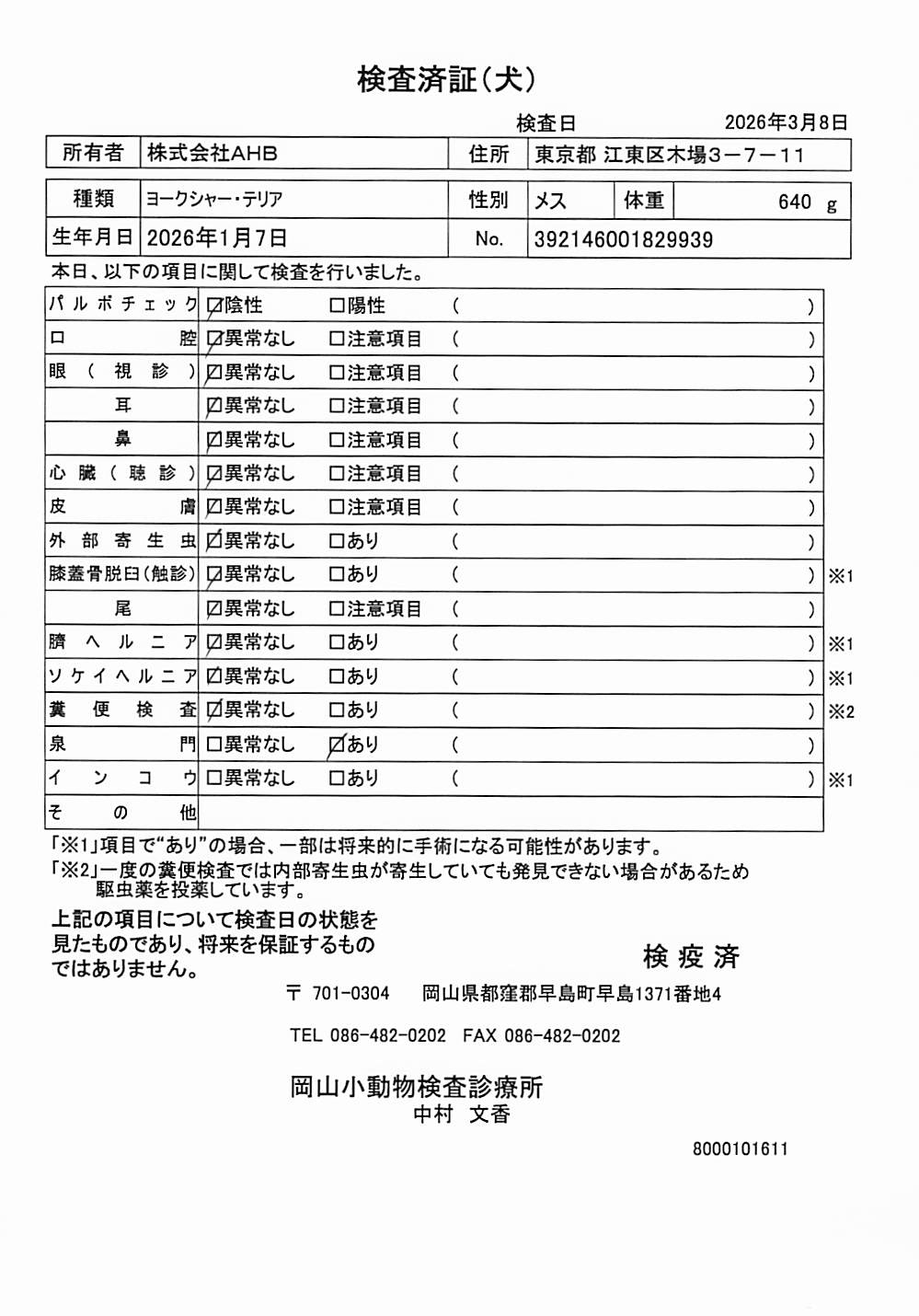 ヨークシャー・テリア