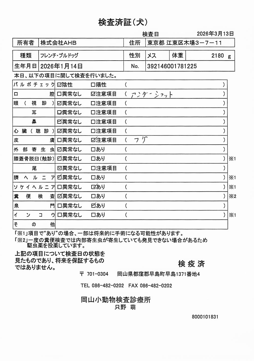 フレンチ・ブルドッグ
