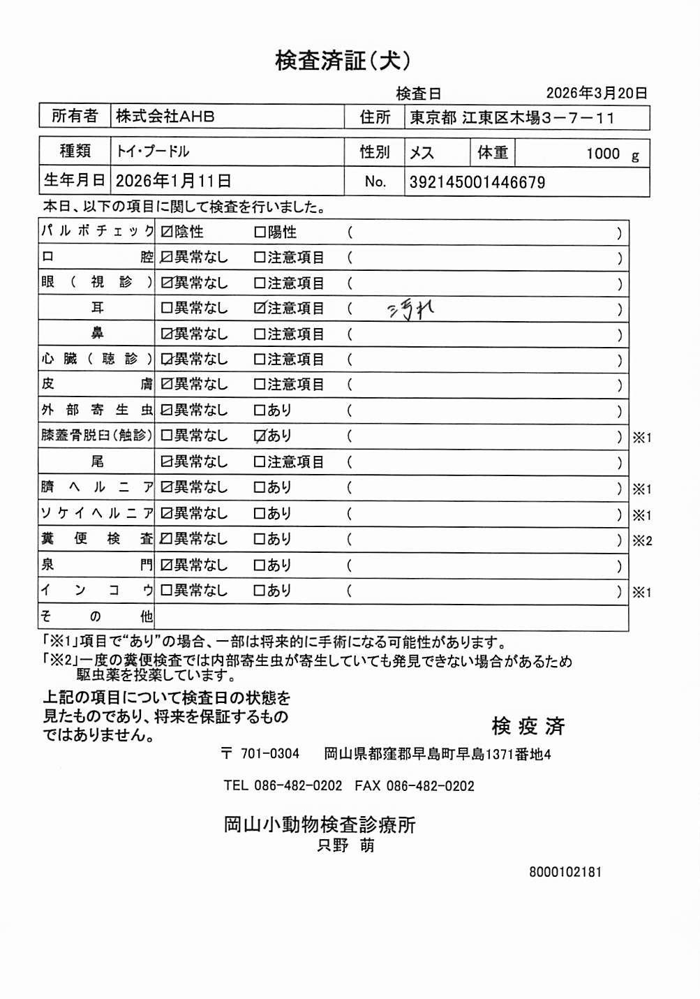 トイ・プードル