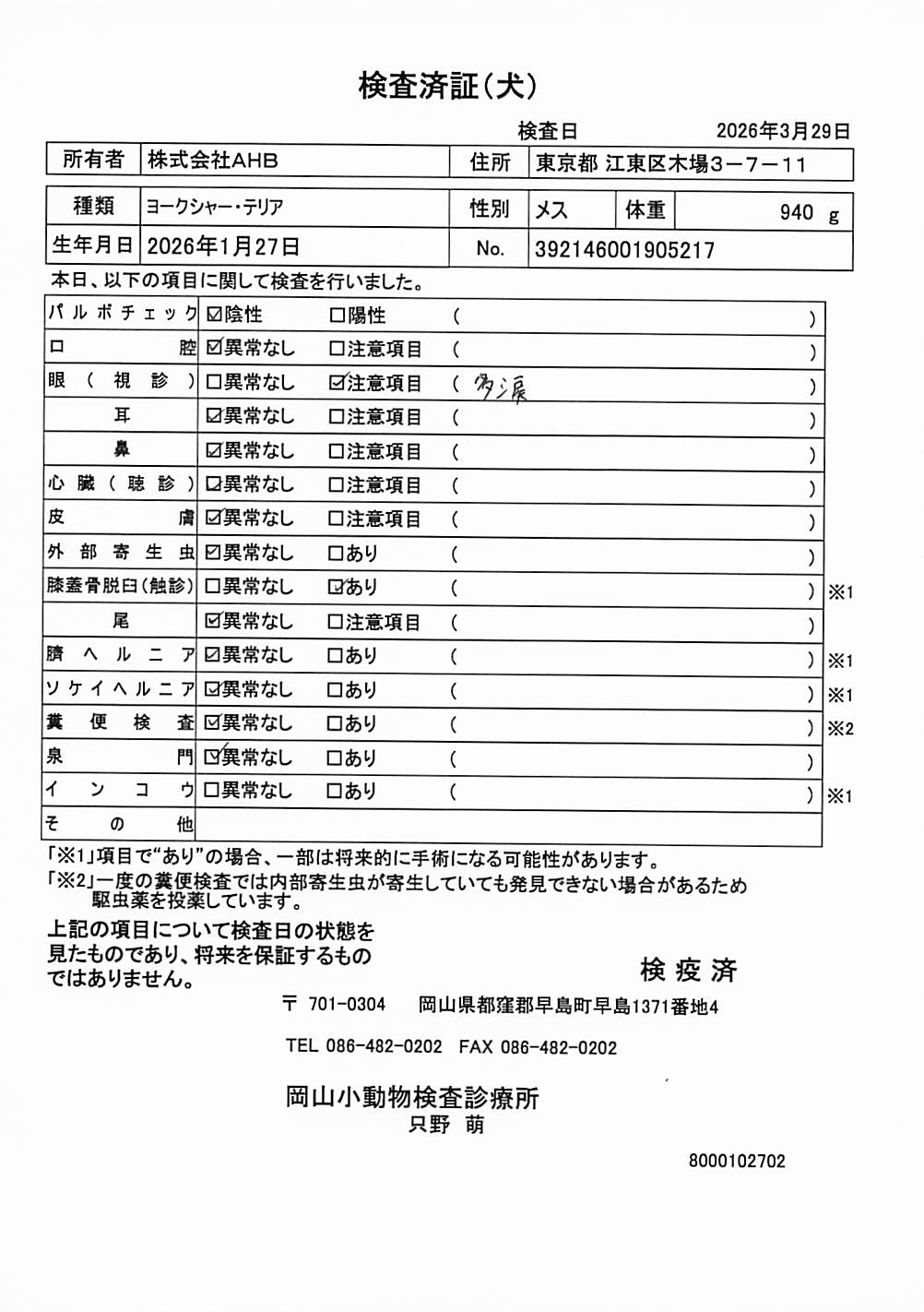 ヨークシャー・テリア