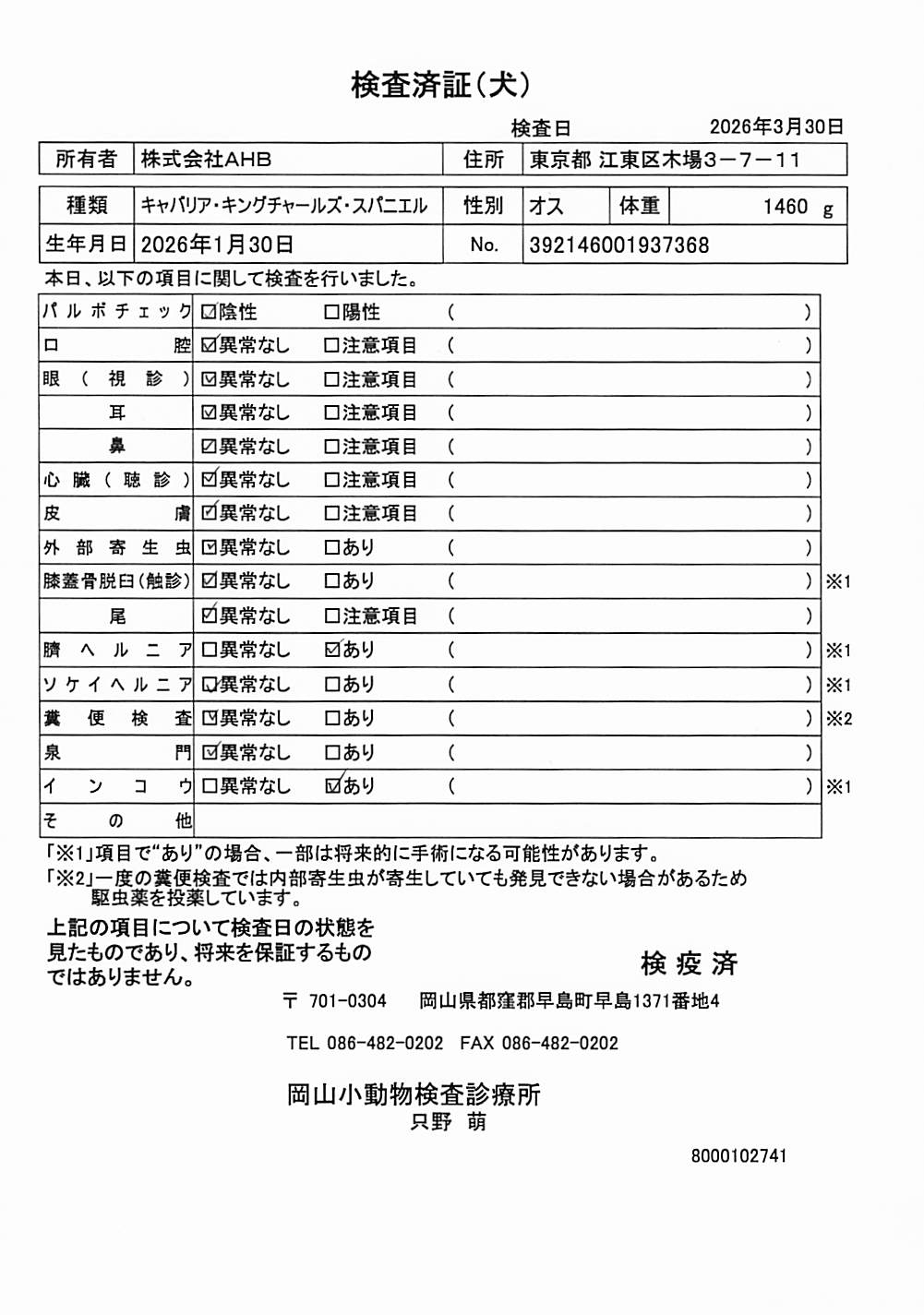 キャバリア・キングチャールズ・スパニエル