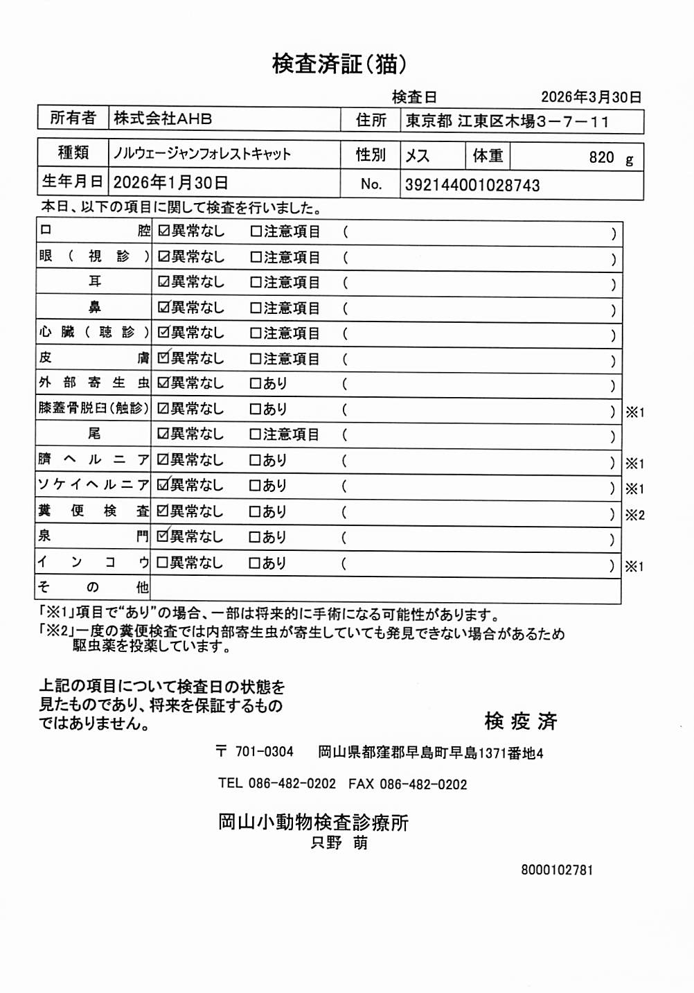 ノルウェージャンフォレストキャット