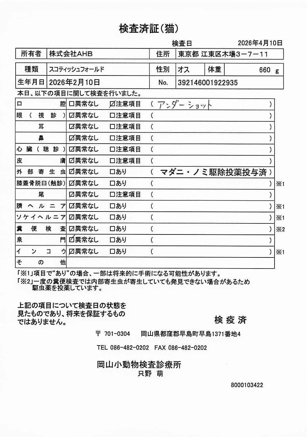 スコティッシュフォールド