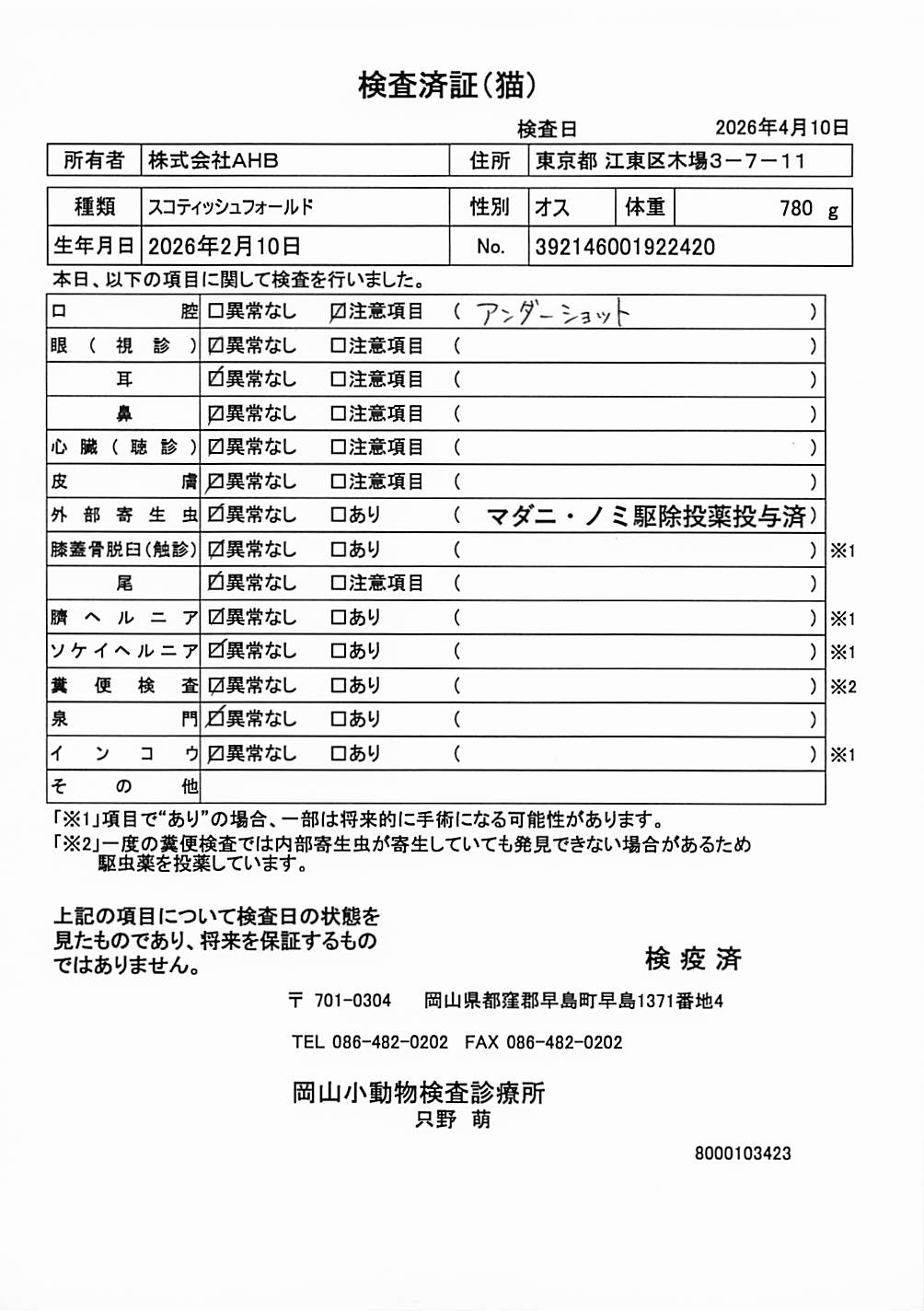 スコティッシュフォールド