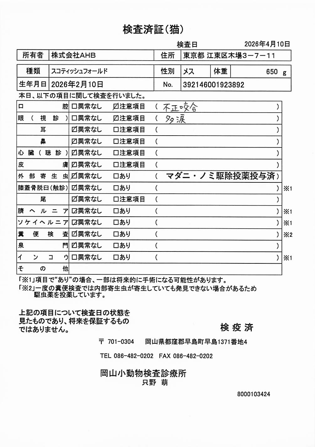 スコティッシュフォールド