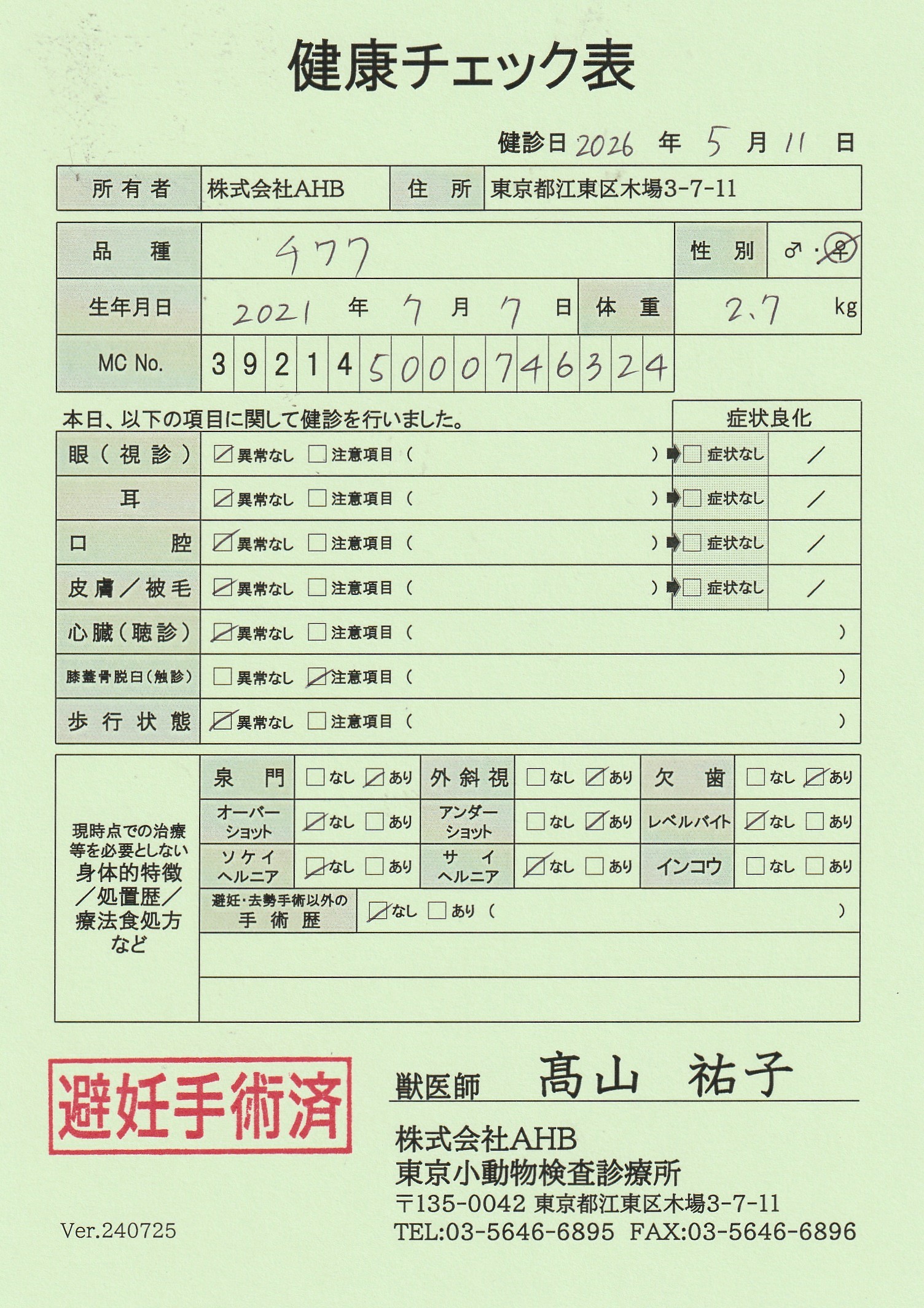 チワワ