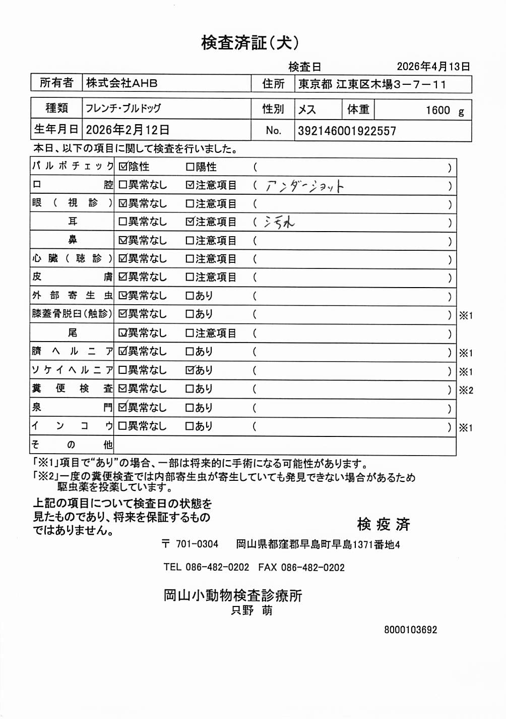フレンチ・ブルドッグ