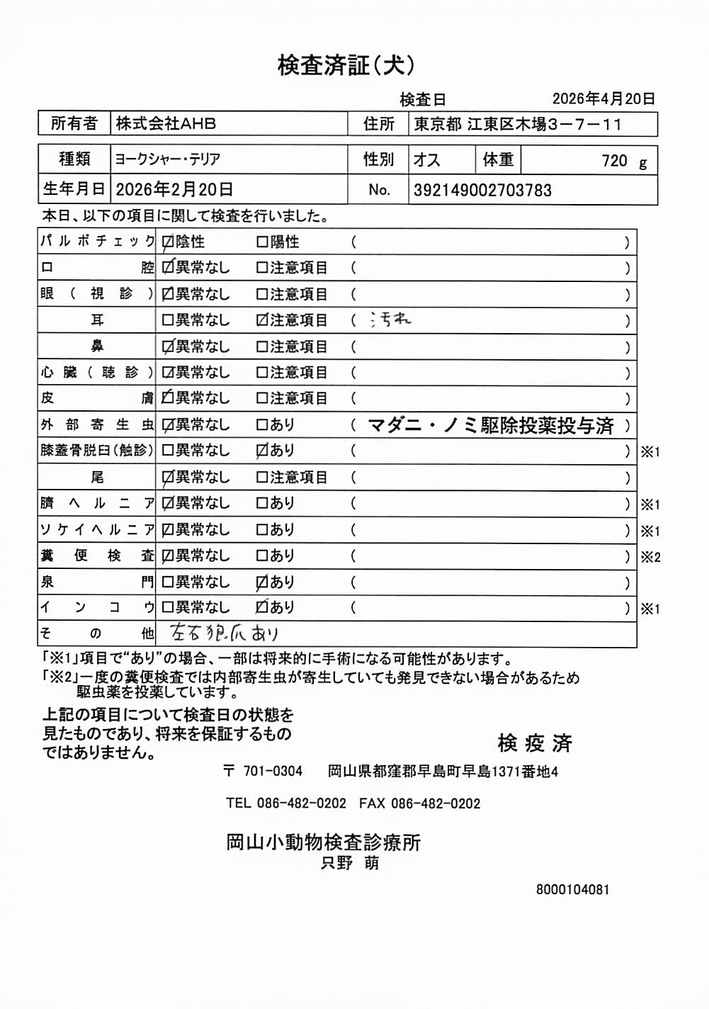 ヨークシャー・テリア