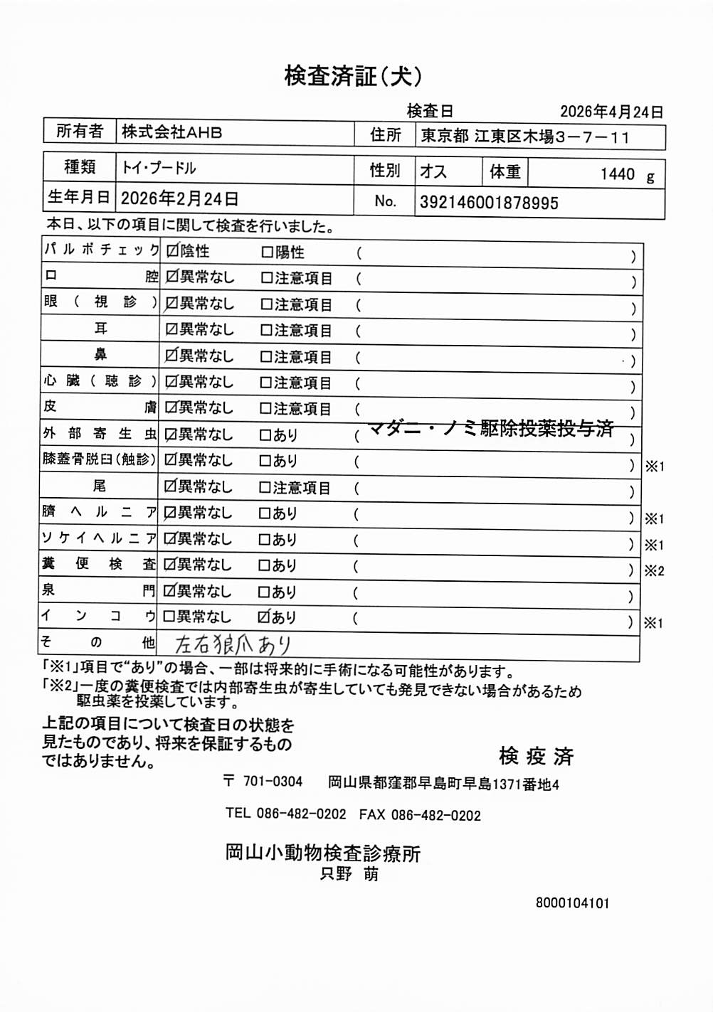トイ・プードル
