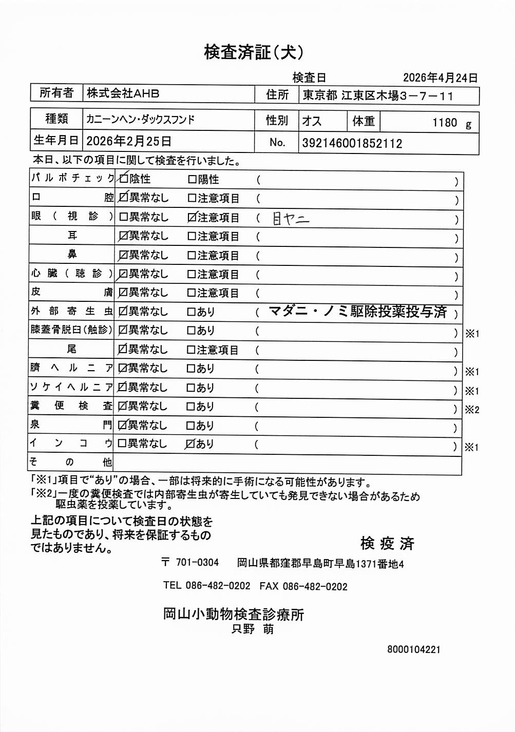 カニーンヘン・ダックスフンド