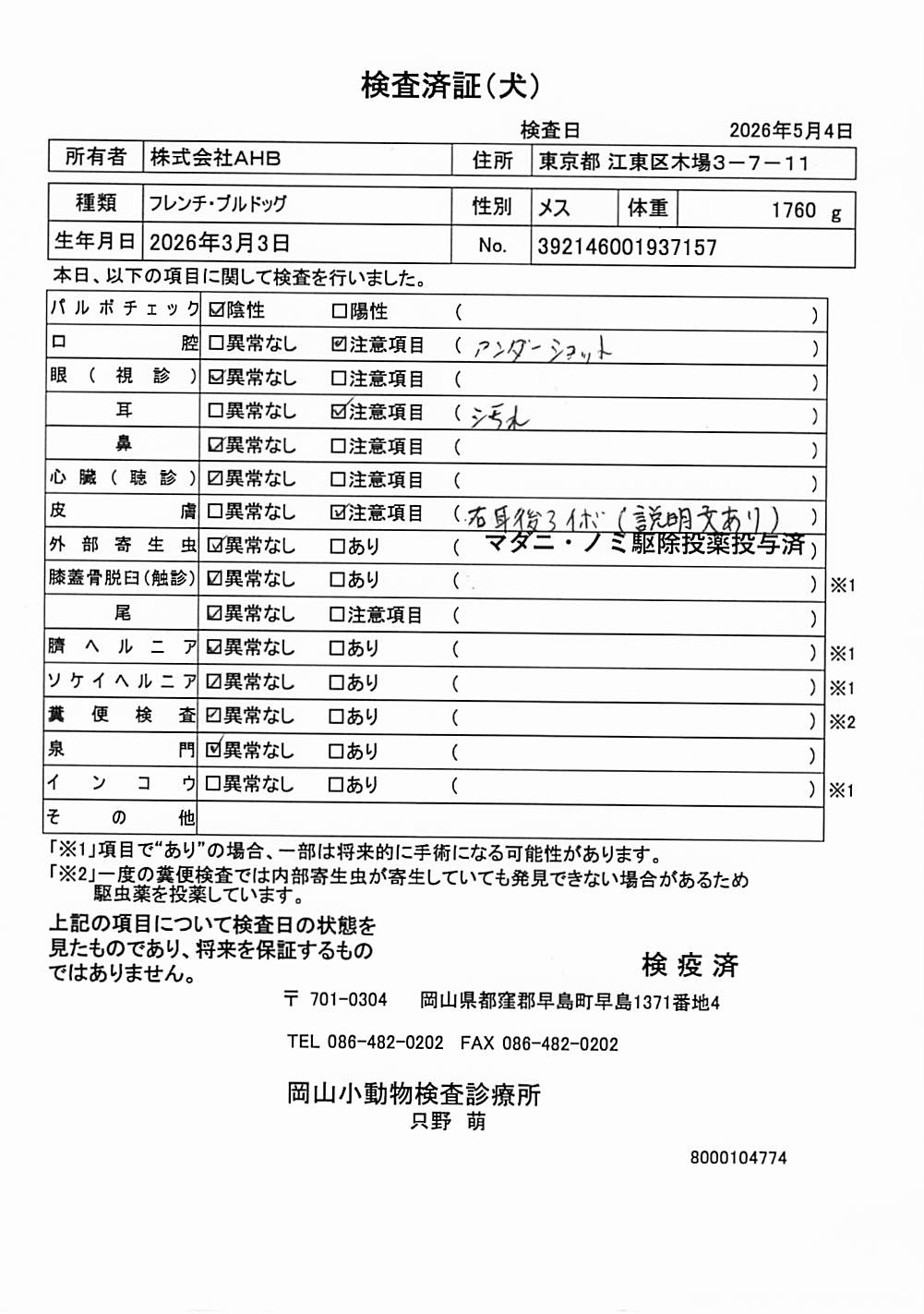 フレンチ・ブルドッグ
