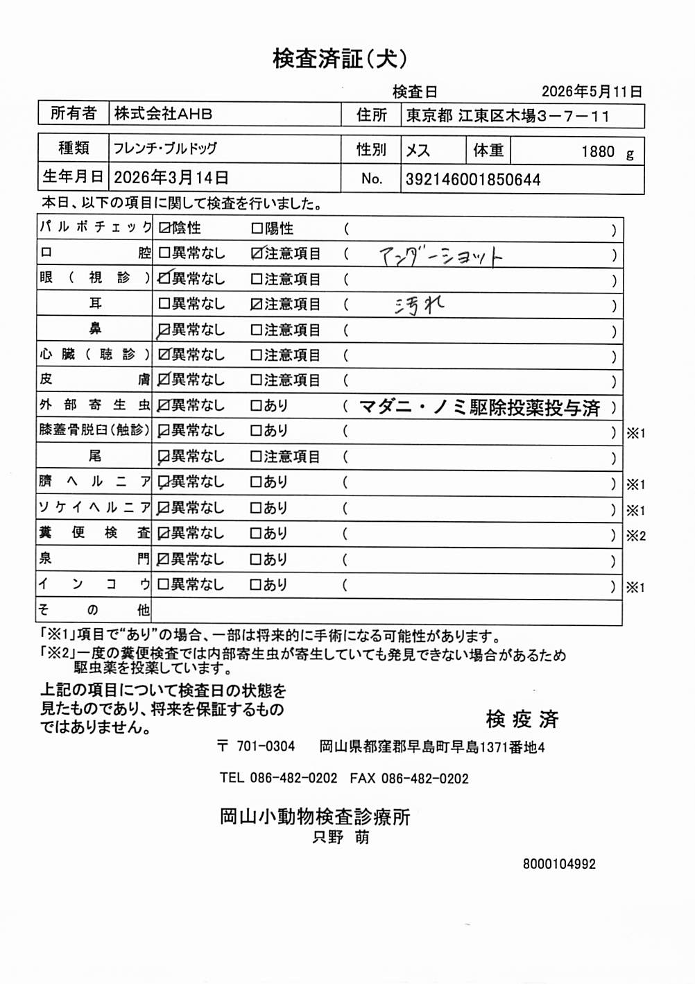 フレンチ・ブルドッグ