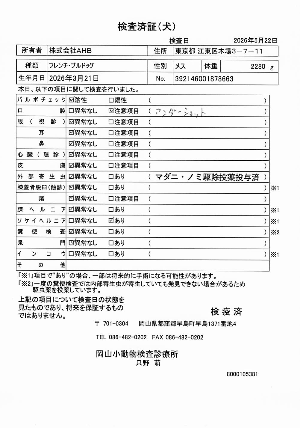 フレンチ・ブルドッグ