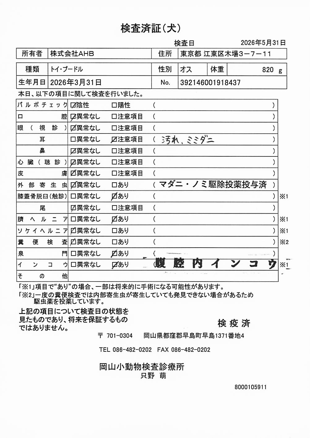トイ・プードル