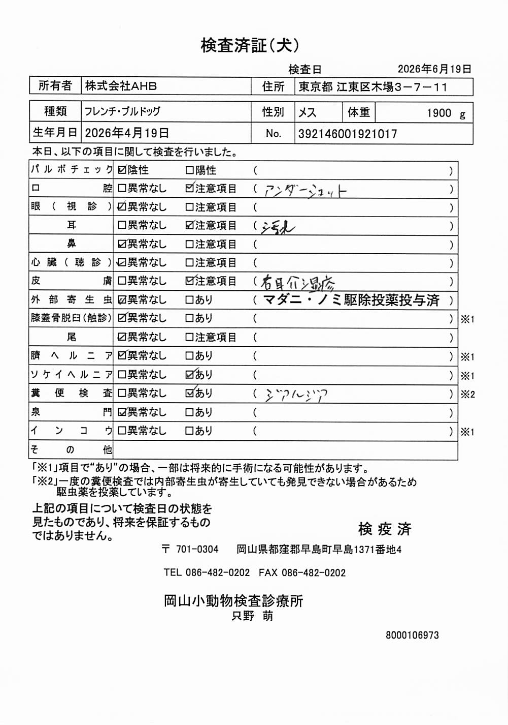 フレンチ・ブルドッグ