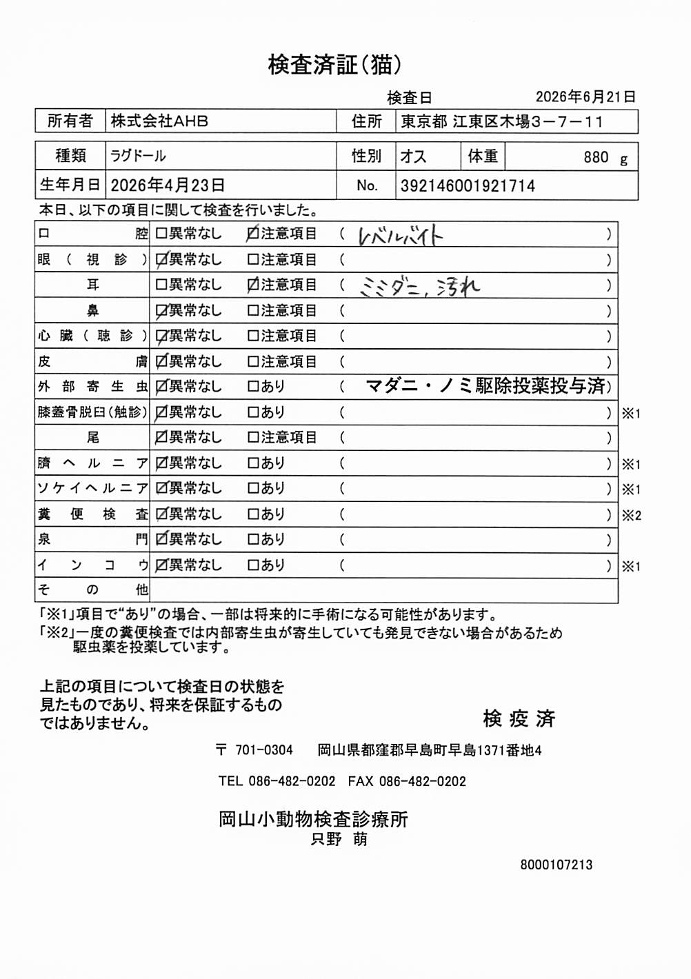 ラグドール