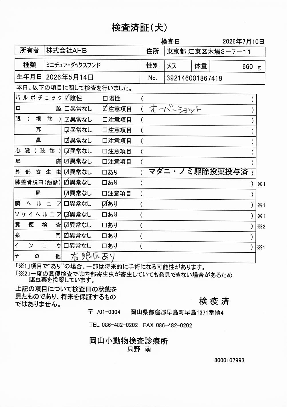 ミニチュア・ダックスフンド