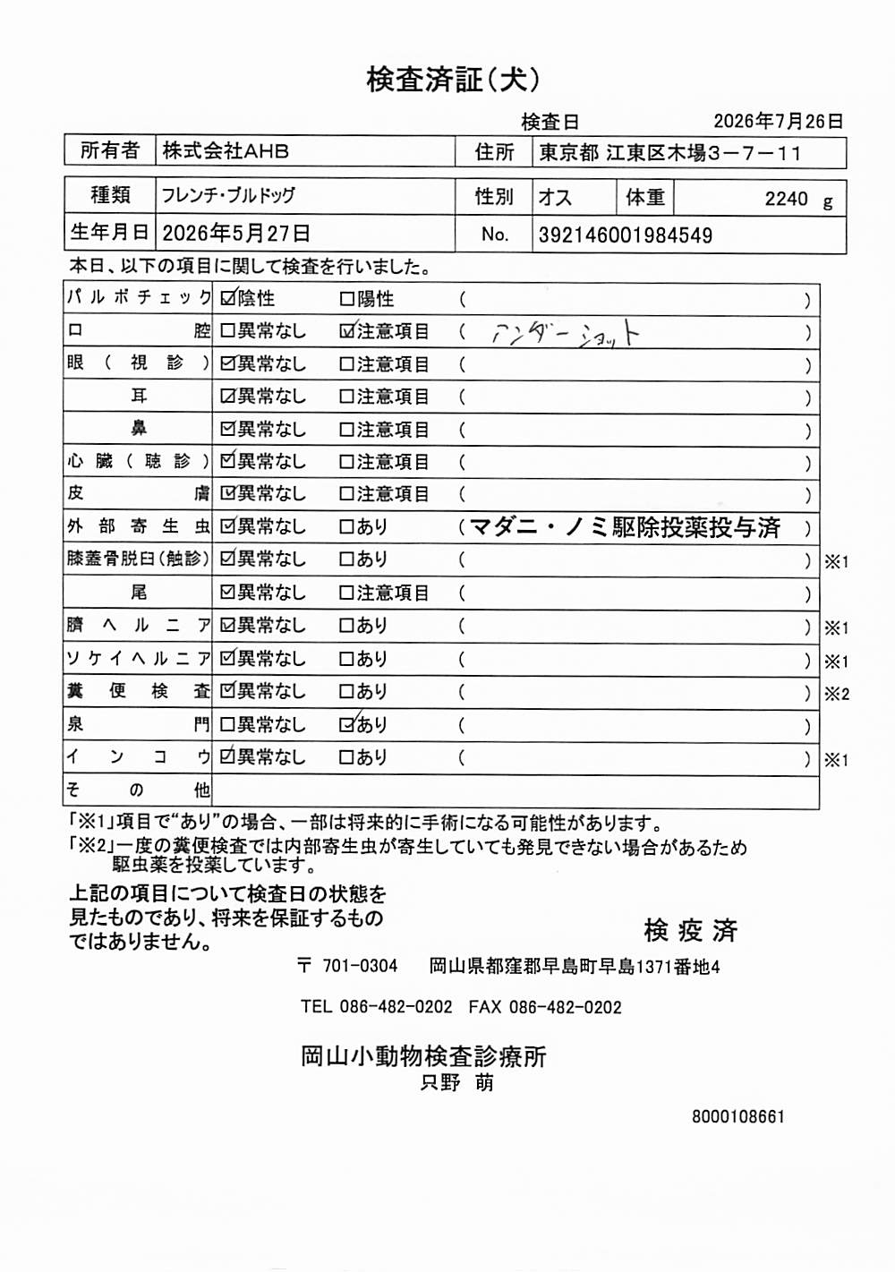 フレンチ・ブルドッグ