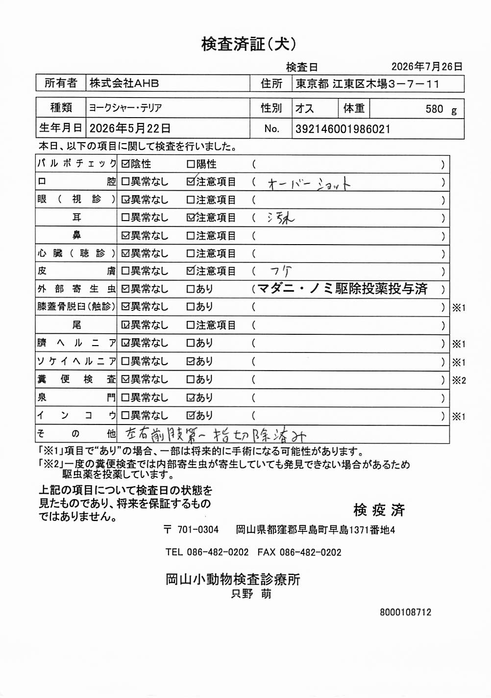 ヨークシャー・テリア