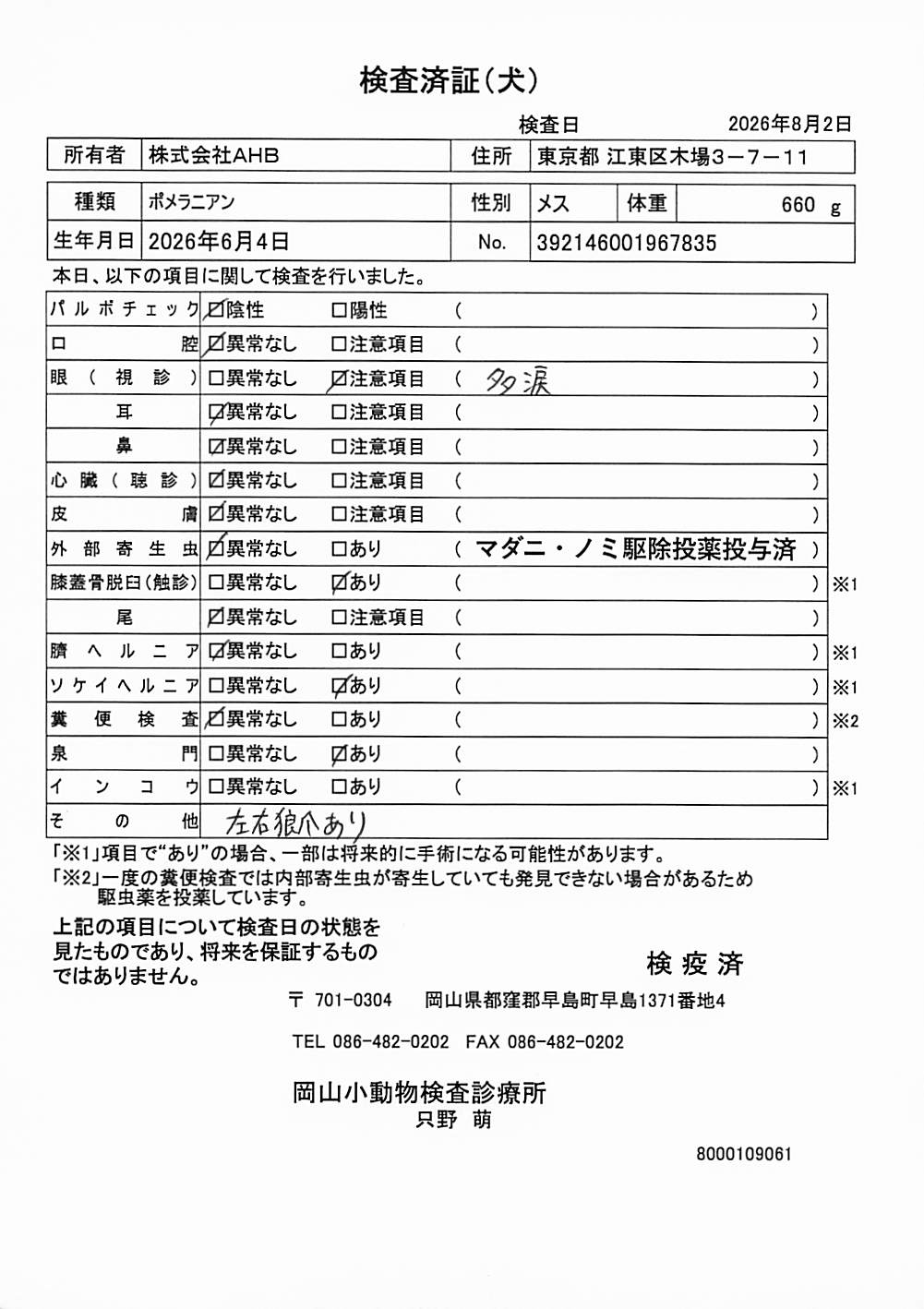ポメラニアン