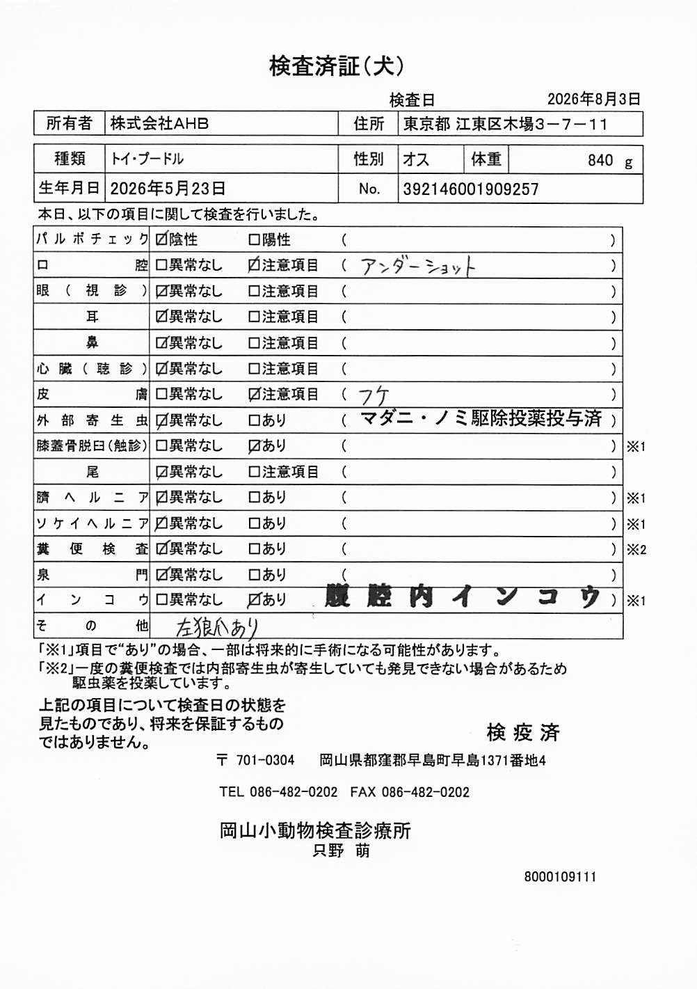 トイ・プードル