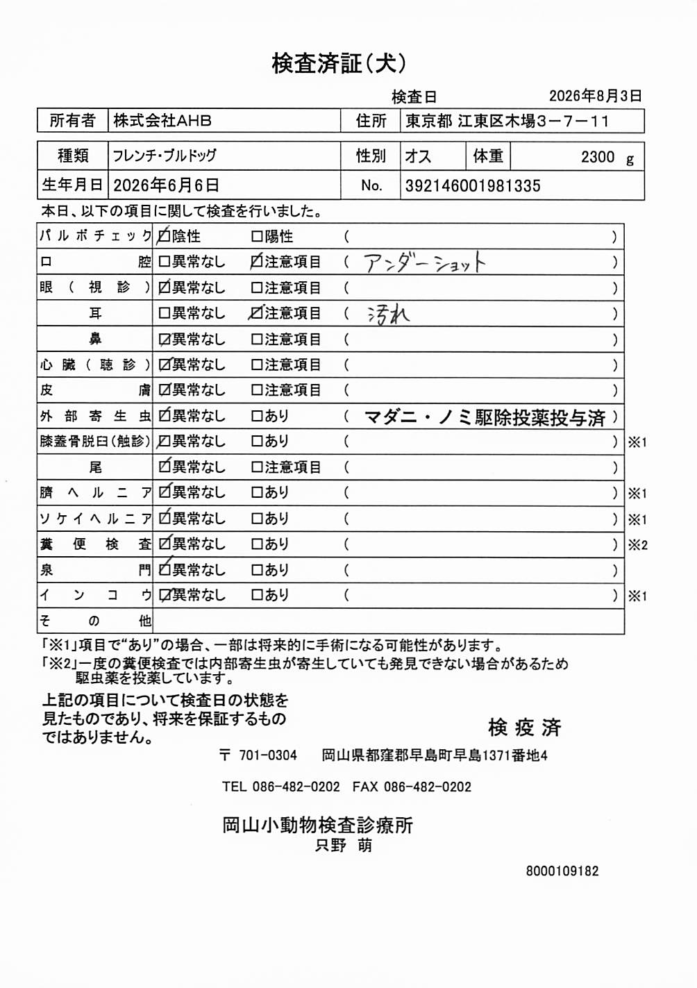 フレンチ・ブルドッグ