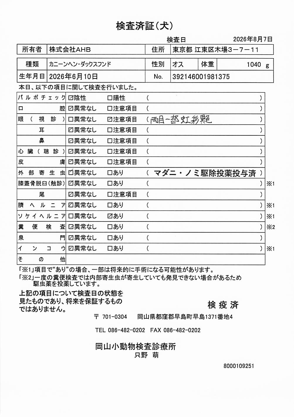 カニーンヘン・ダックスフンド