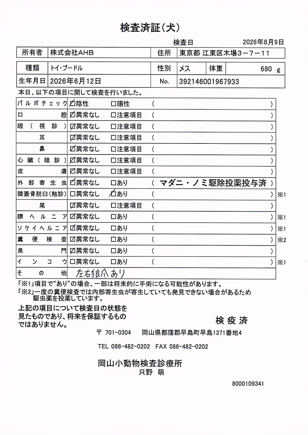 トイ・プードル