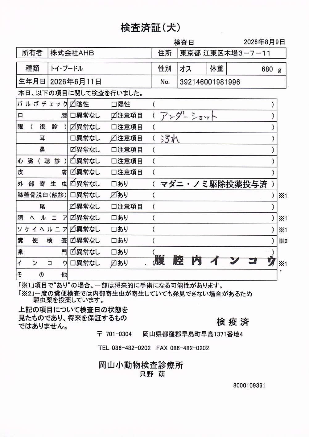 トイ・プードル