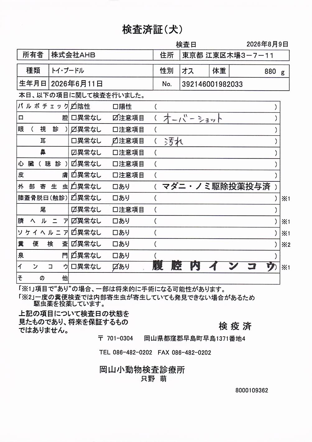 トイ・プードル