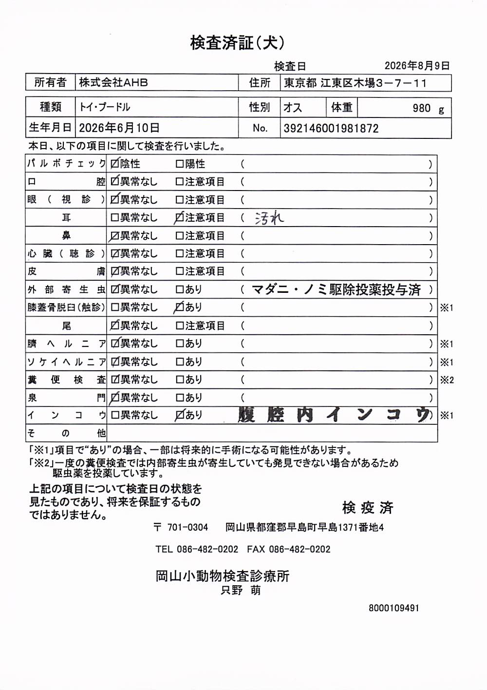 トイ・プードル