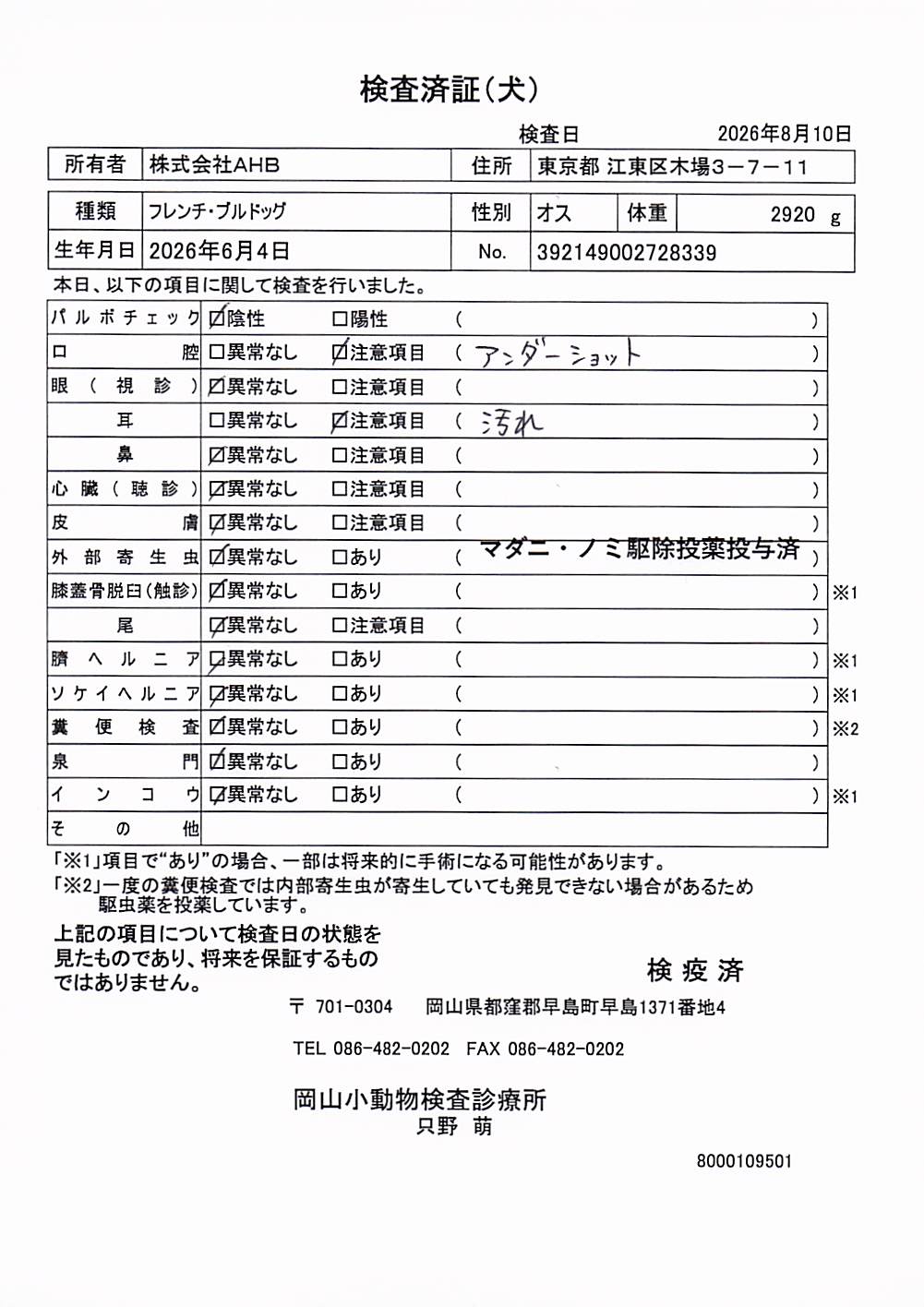 フレンチ・ブルドッグ