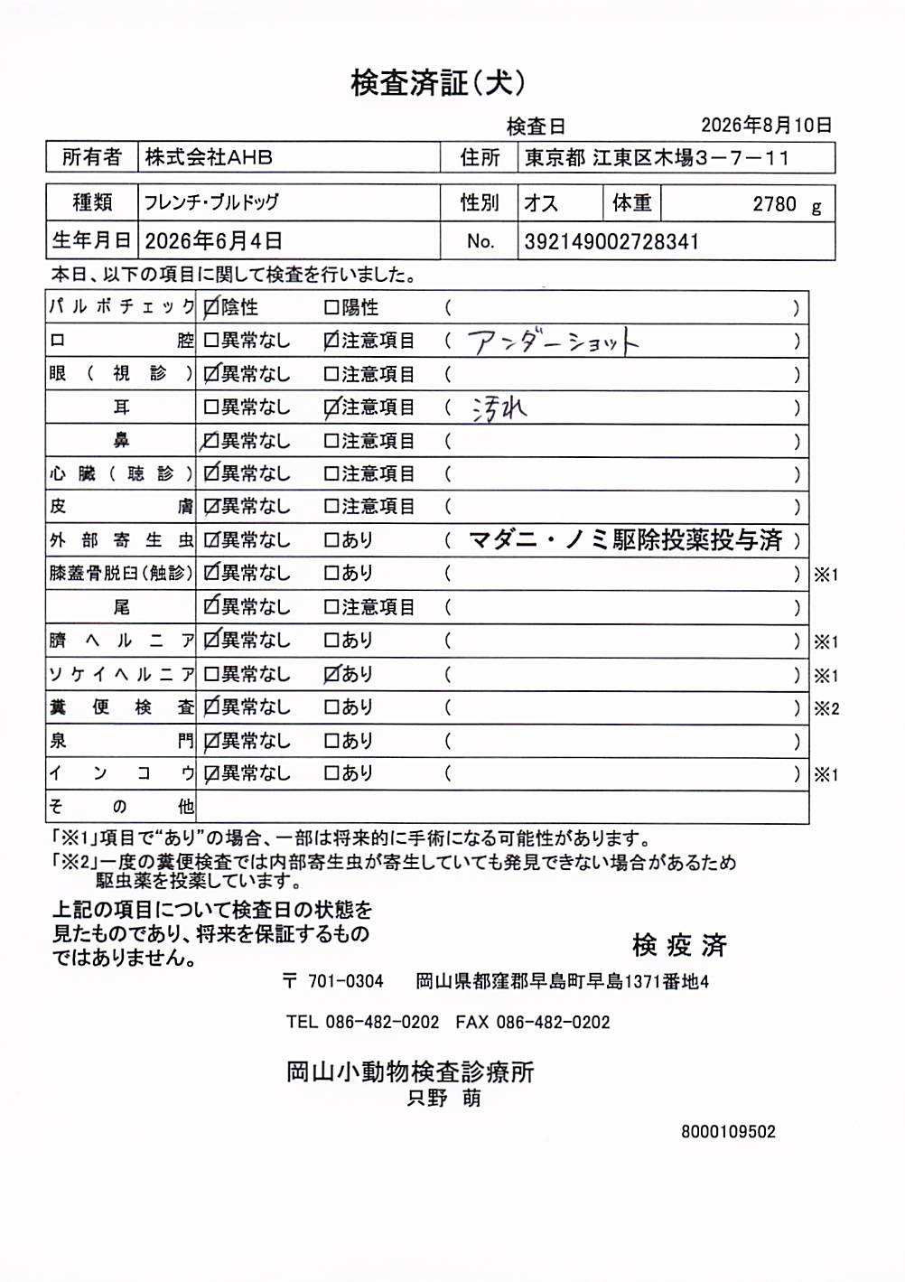 フレンチ・ブルドッグ