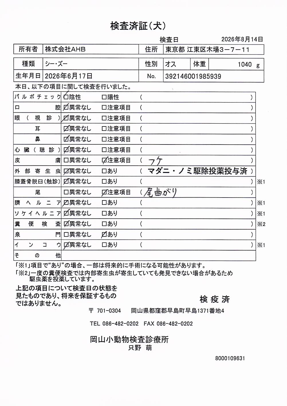 シー・ズー