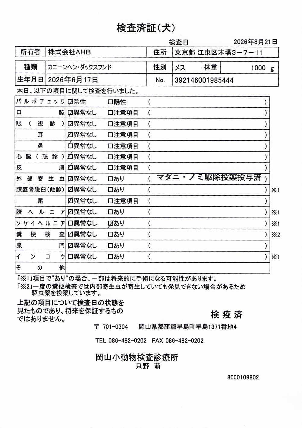 カニーンヘン・ダックスフンド