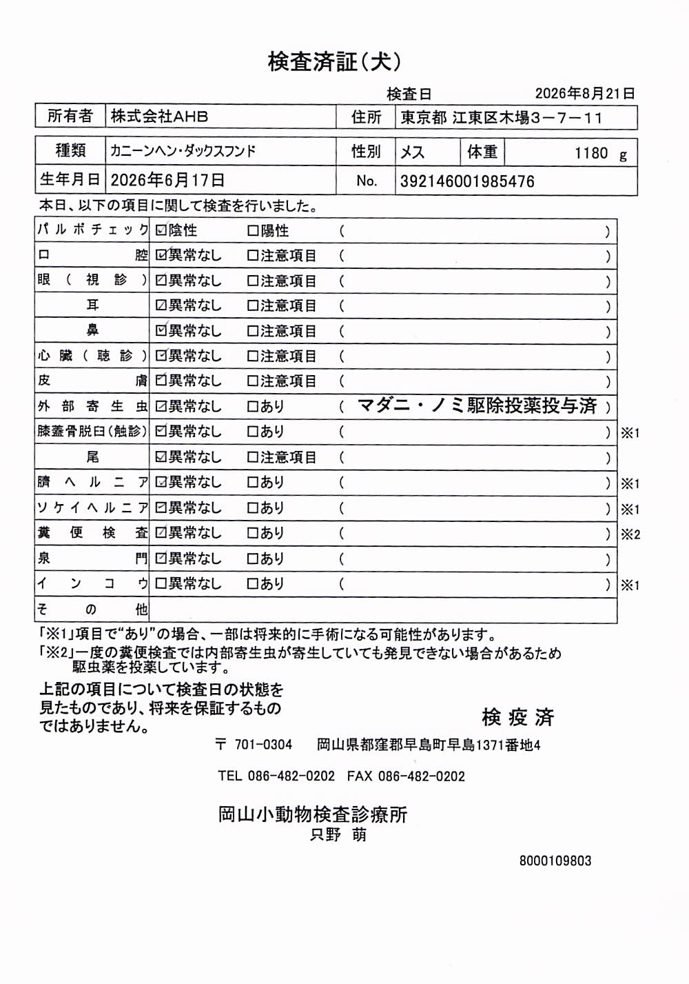 カニーンヘン・ダックスフンド