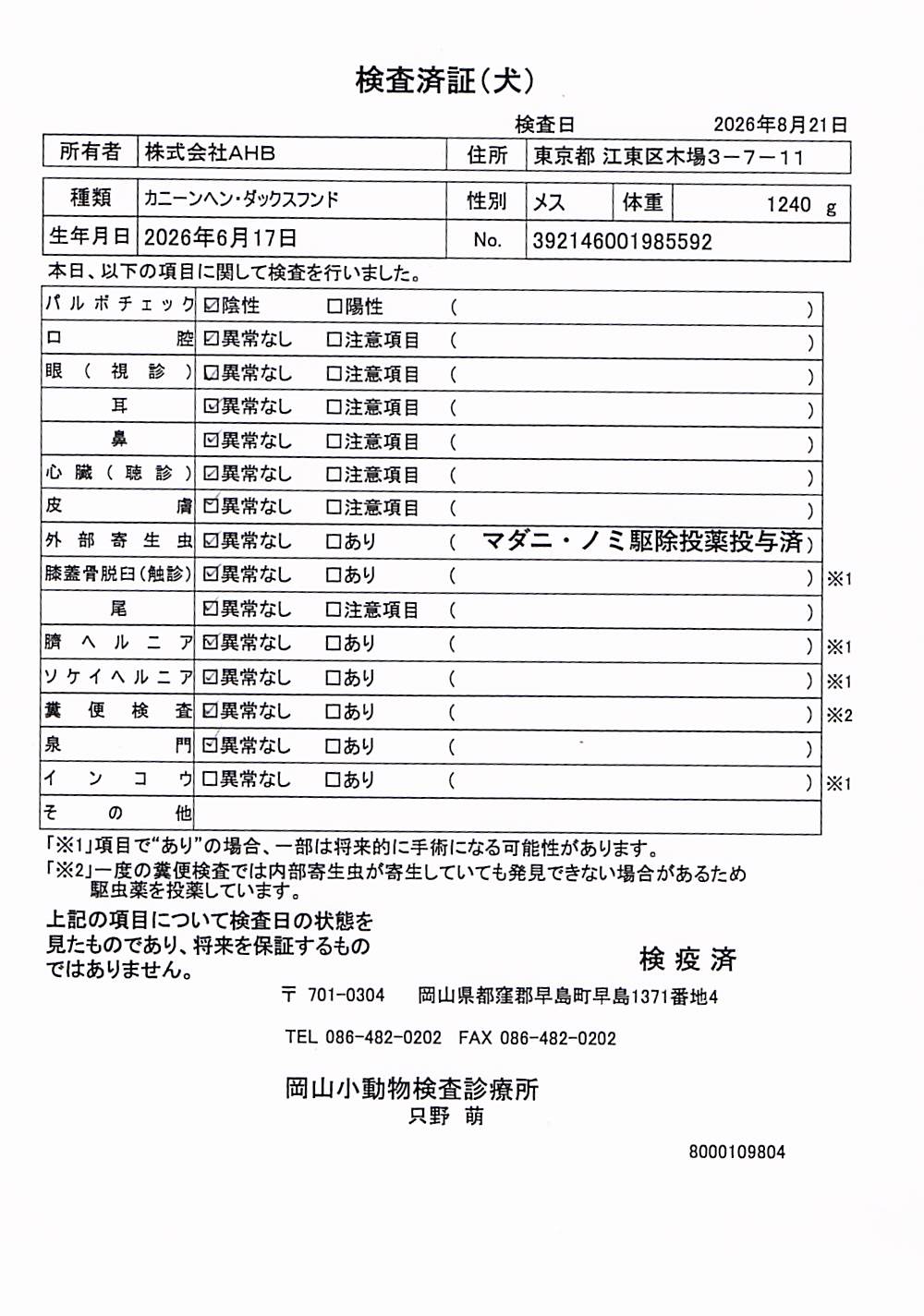 カニーンヘン・ダックスフンド
