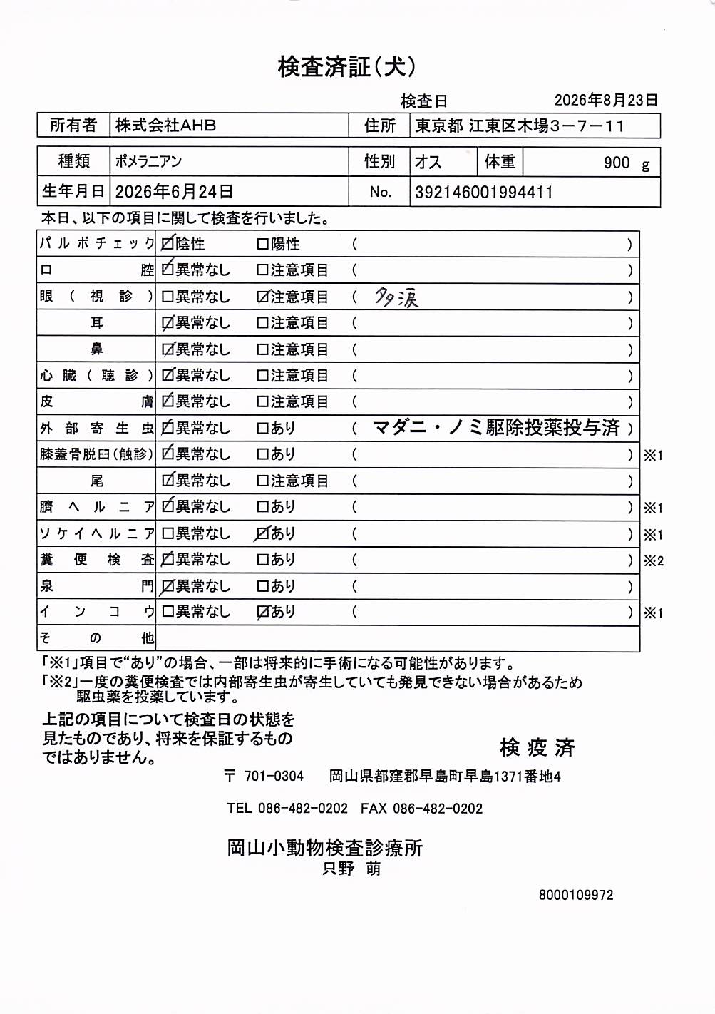 ポメラニアン