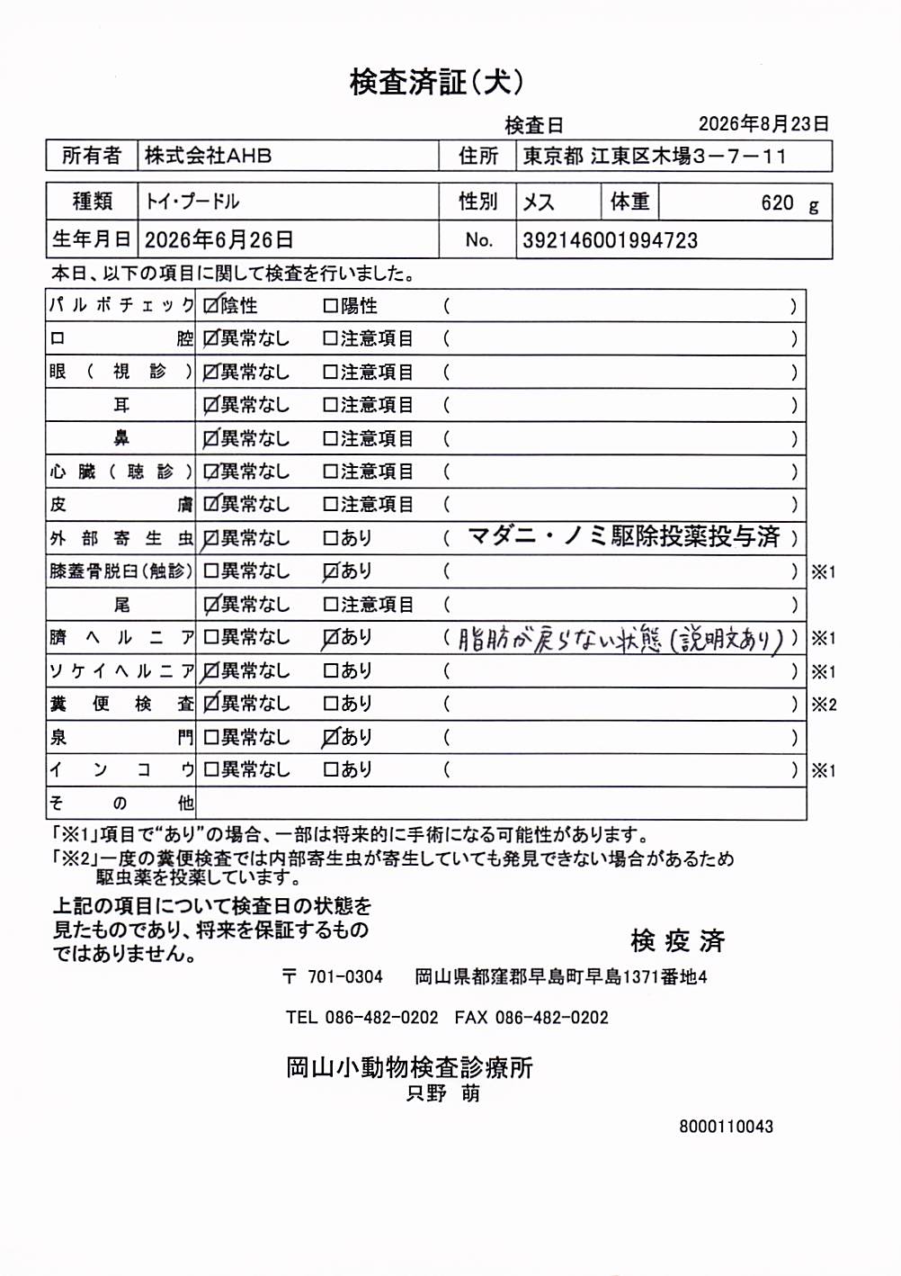 トイ・プードル