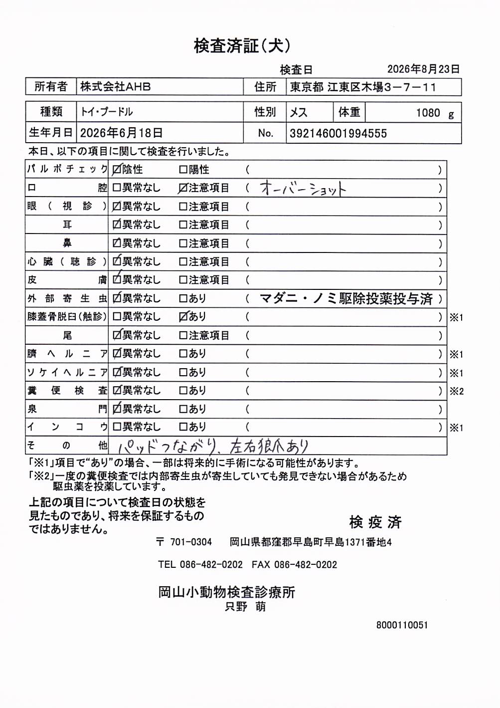 トイ・プードル