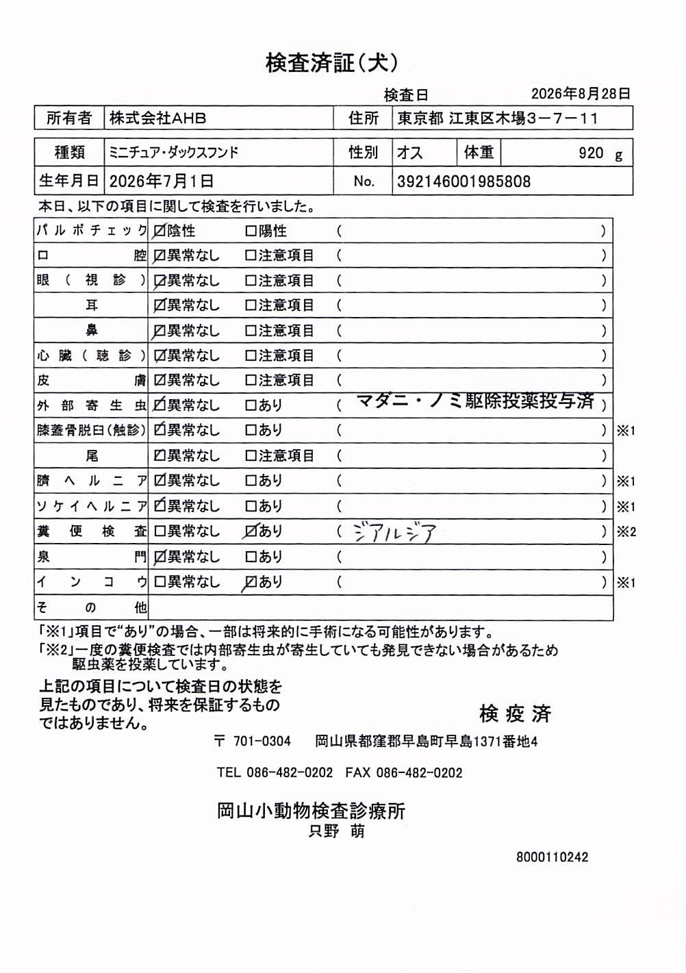 ミニチュア・ダックスフンド