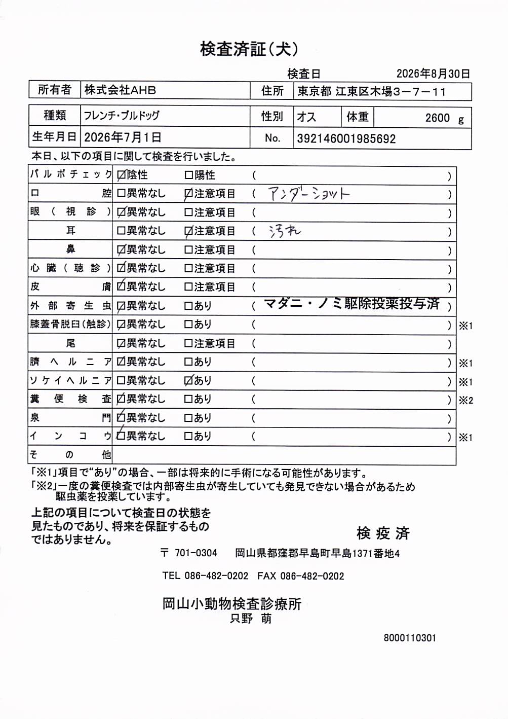 フレンチ・ブルドッグ