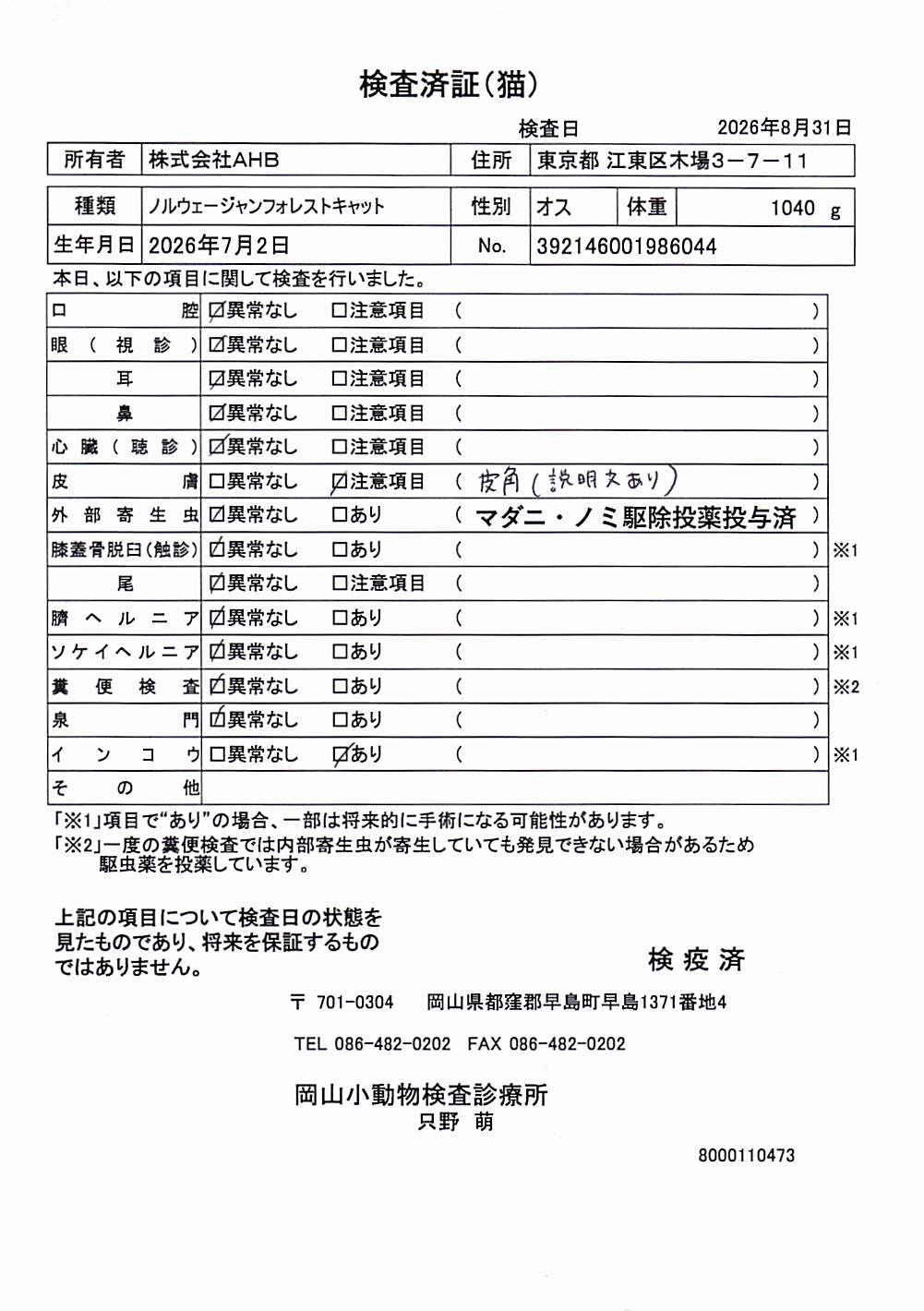 ノルウェージャンフォレストキャット