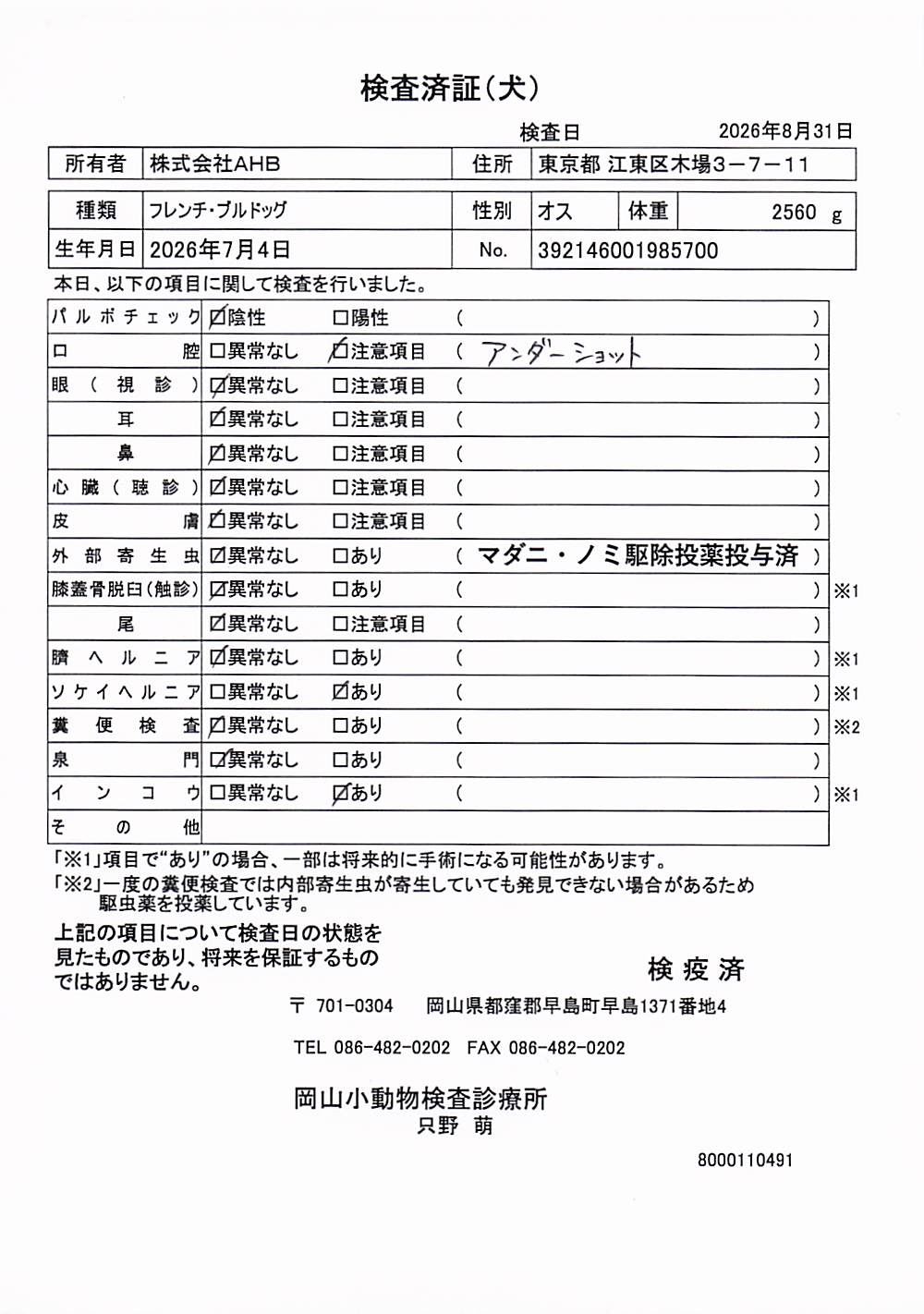 フレンチ・ブルドッグ