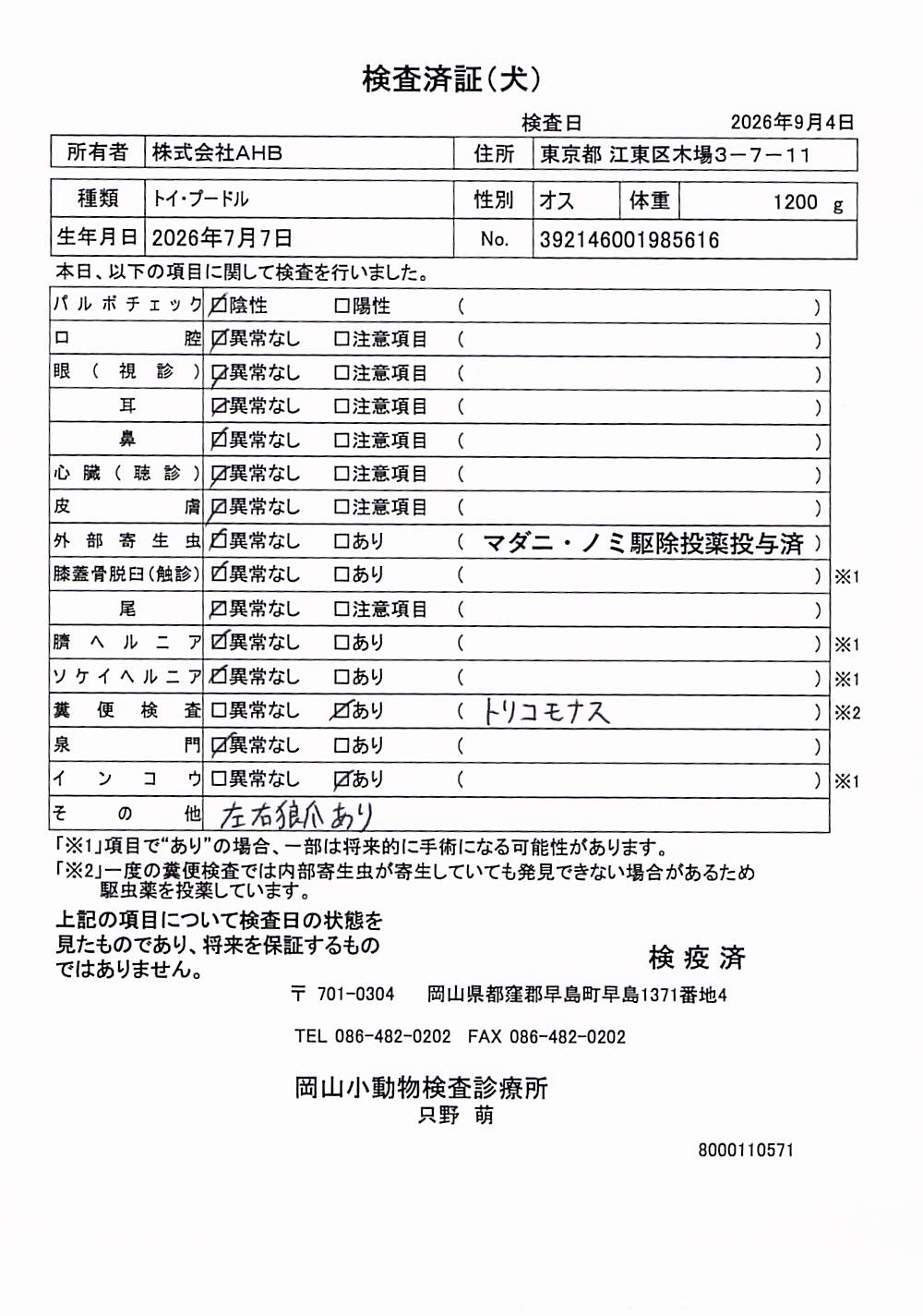 トイ・プードル