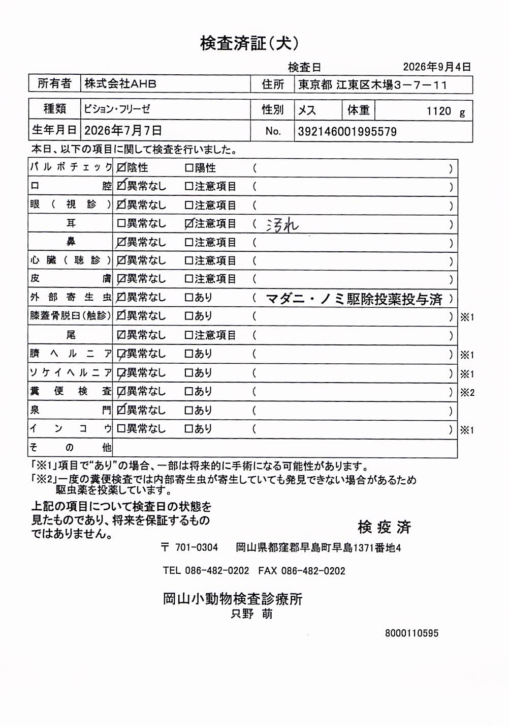 ビション・フリーゼ
