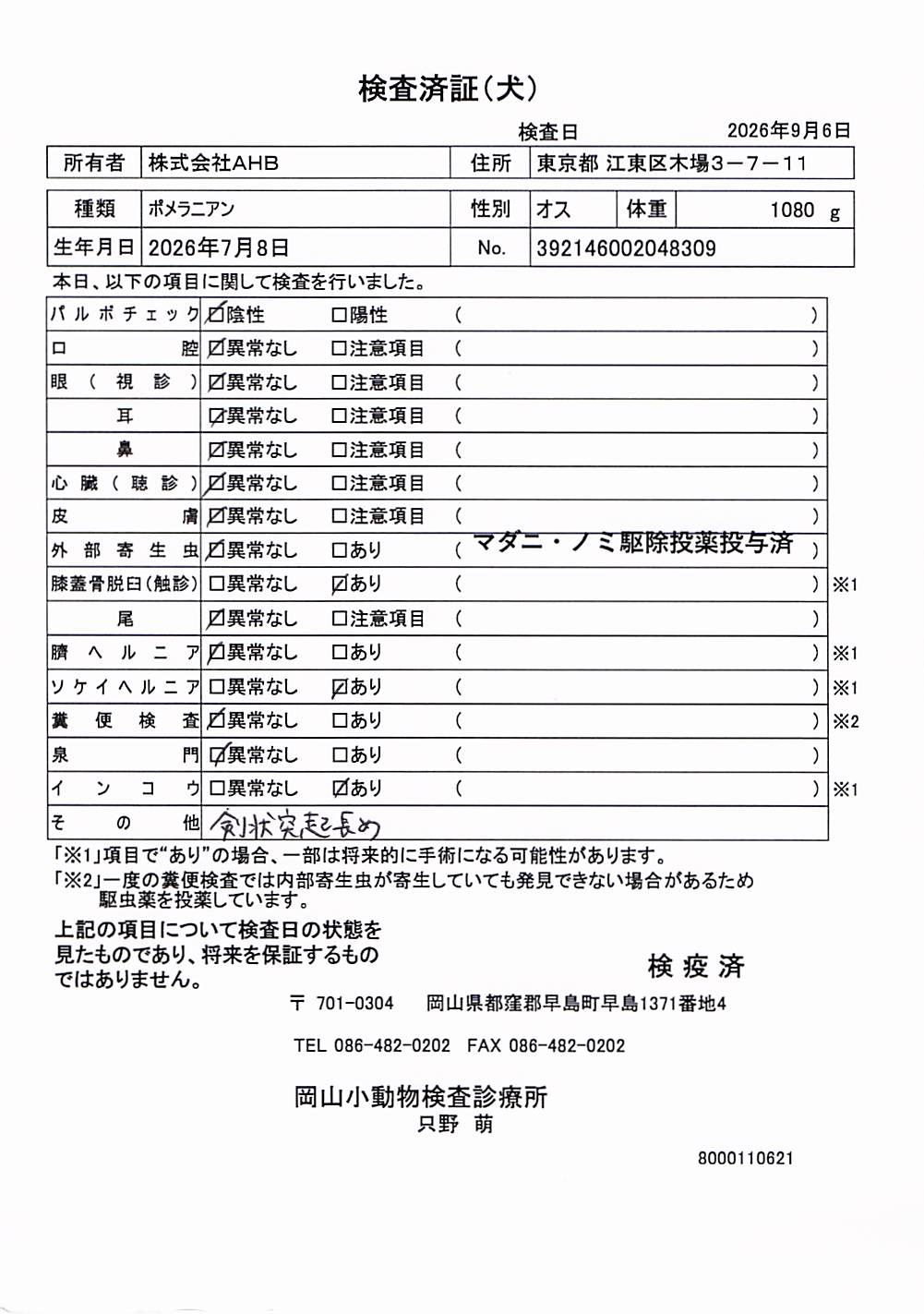 ポメラニアン