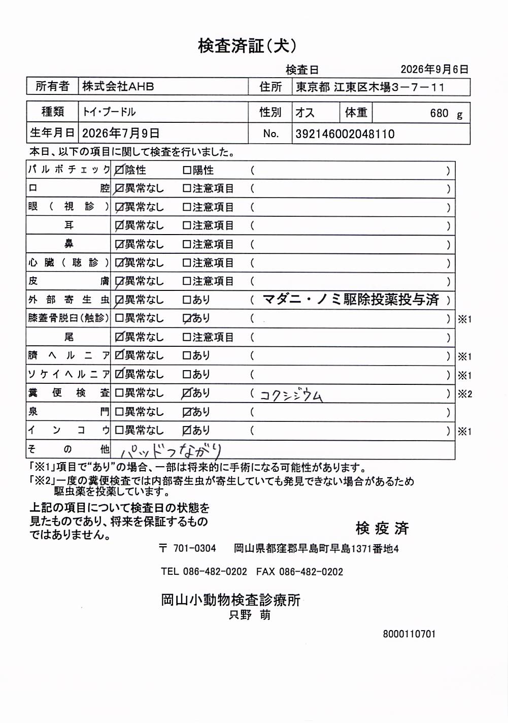 トイ・プードル