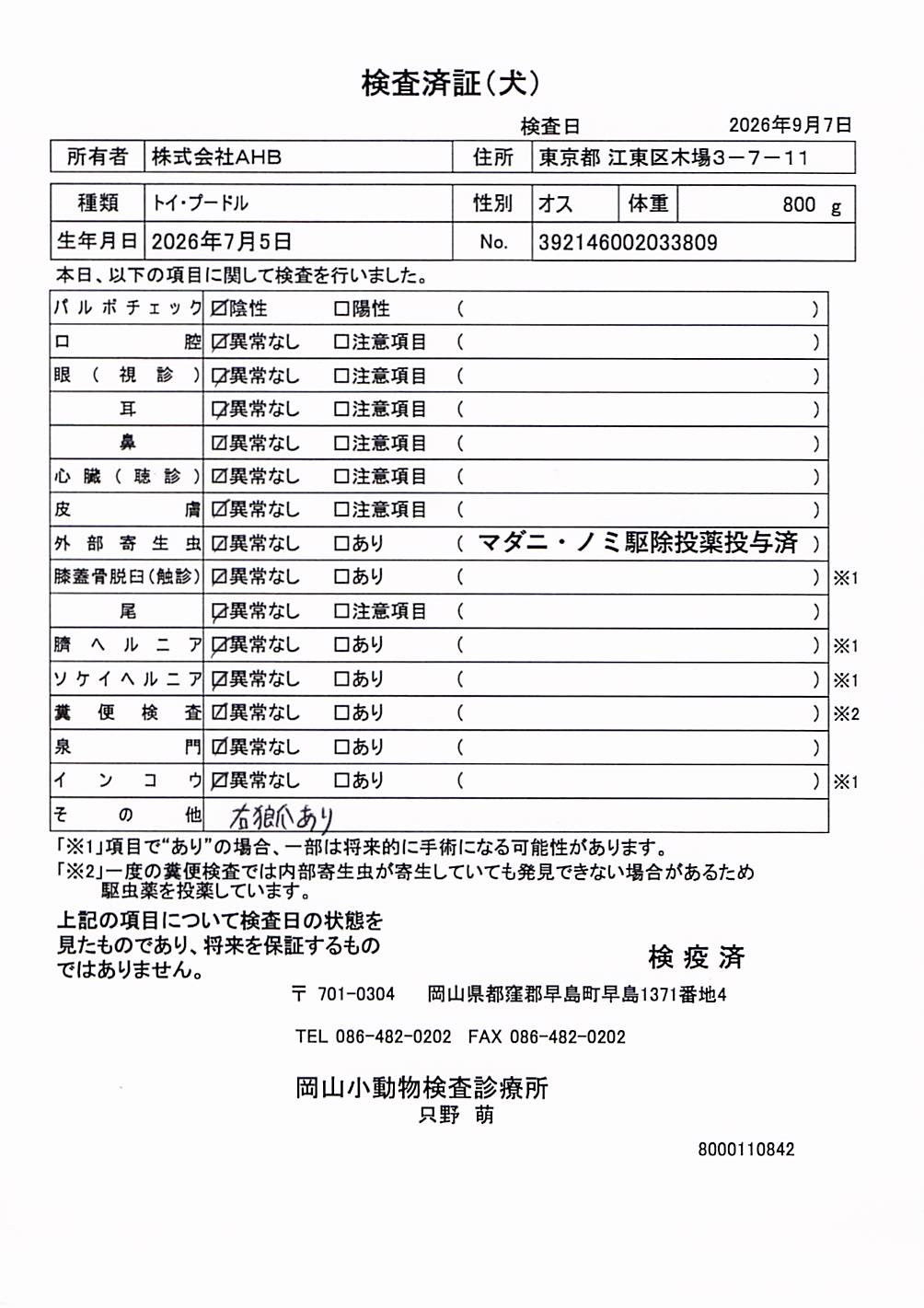 トイ・プードル