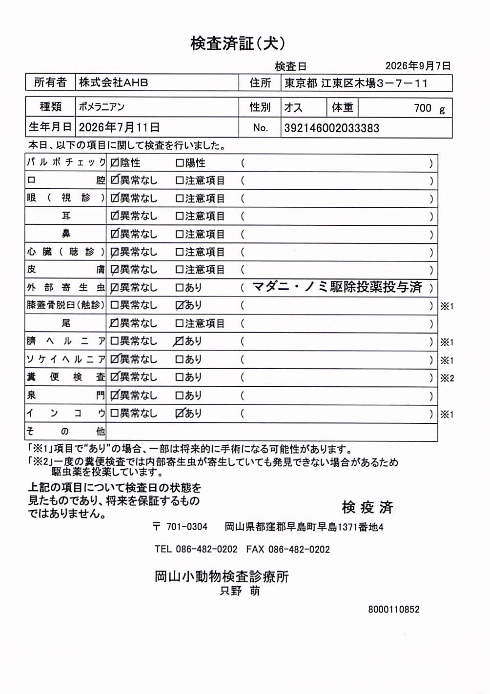 ポメラニアン
